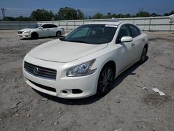 Nissan salvage cars for sale: 2009 Nissan Maxima S