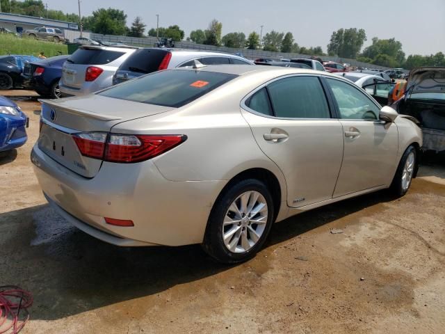 2013 Lexus ES 300H