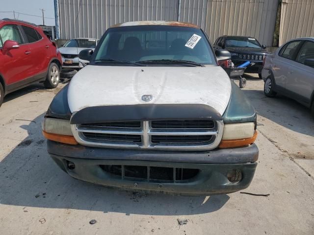 1999 Dodge Dakota