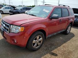 Ford salvage cars for sale: 2011 Ford Escape XLT