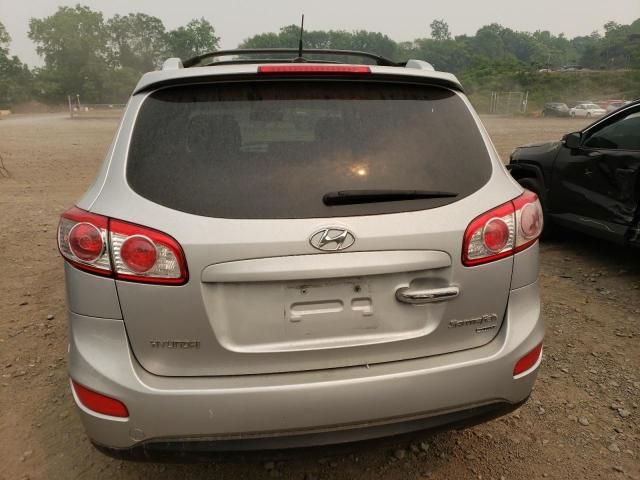 2010 Hyundai Santa FE SE