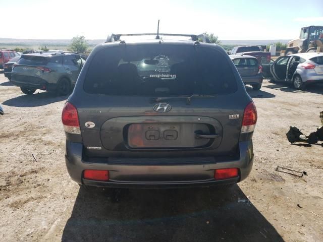 2006 Hyundai Santa FE GLS