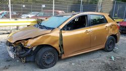 Salvage cars for sale from Copart Waldorf, MD: 2009 Toyota Corolla Matrix