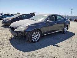 2010 Lexus ES 350 for sale in Antelope, CA