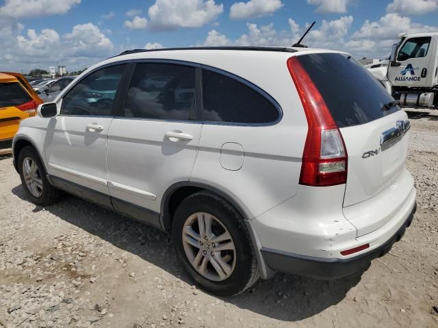 2010 Honda CR-V EXL