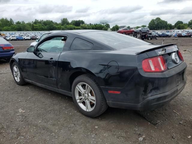 2010 Ford Mustang