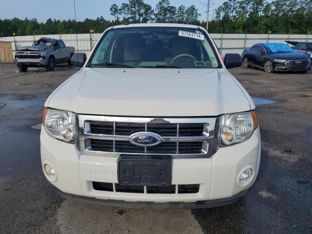 2012 Ford Escape XLT