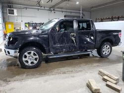 Ford f-150 salvage cars for sale: 2014 Ford F150 Supercrew