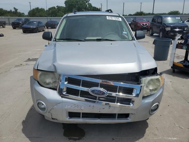 2008 Ford Escape XLT