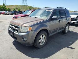 Salvage cars for sale from Copart Littleton, CO: 2010 Ford Escape XLT