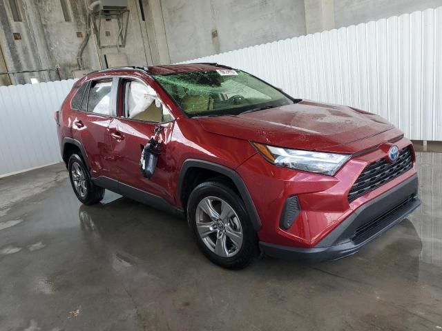 2023 Toyota Rav4 LE