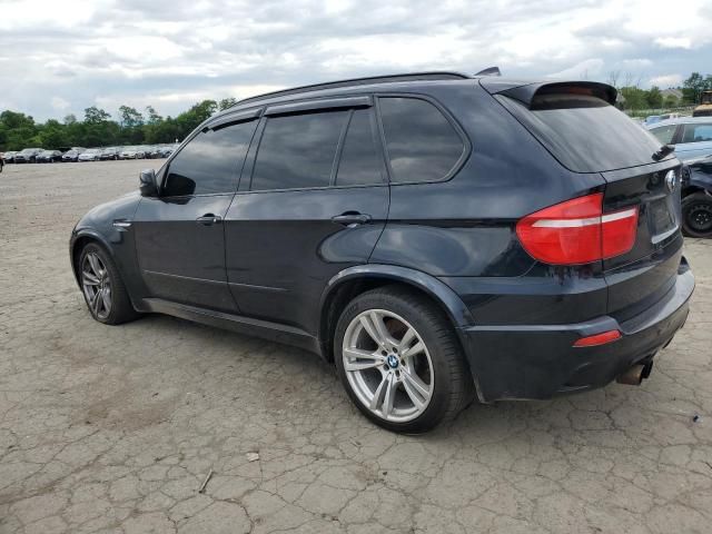 2010 BMW X5 M