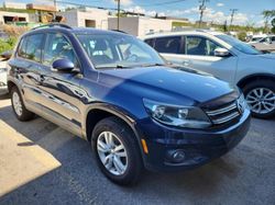Salvage cars for sale from Copart Rocky View County, AB: 2014 Volkswagen Tiguan S