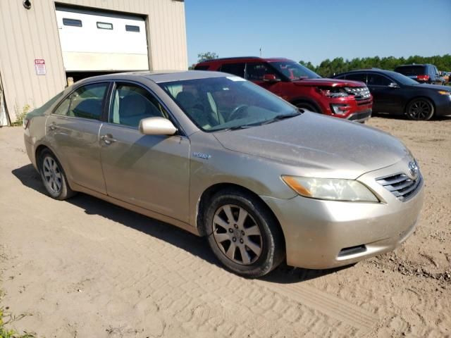 2008 Toyota Camry Hybrid