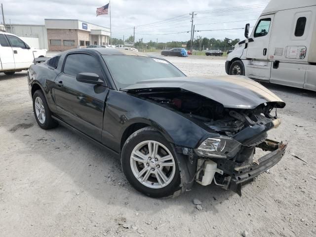 2013 Ford Mustang