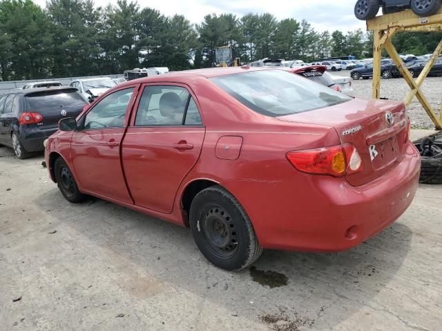 2010 Toyota Corolla Base