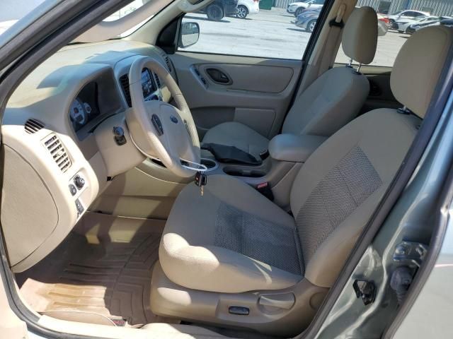 2006 Ford Escape XLT