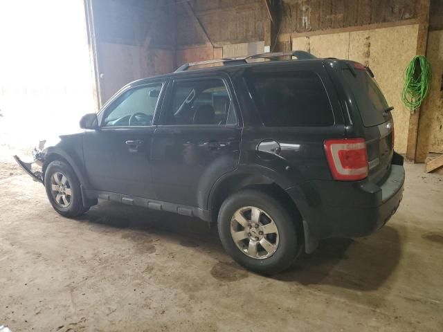 2011 Ford Escape Limited