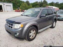 Ford Escape salvage cars for sale: 2010 Ford Escape XLT