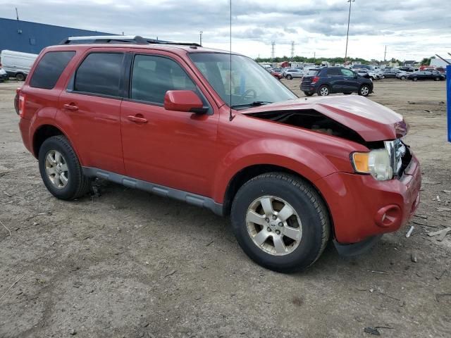 2010 Ford Escape Limited