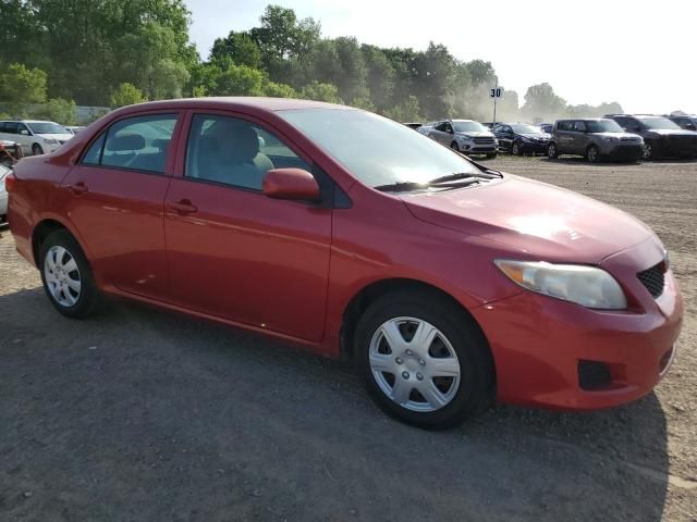 2009 Toyota Corolla Base