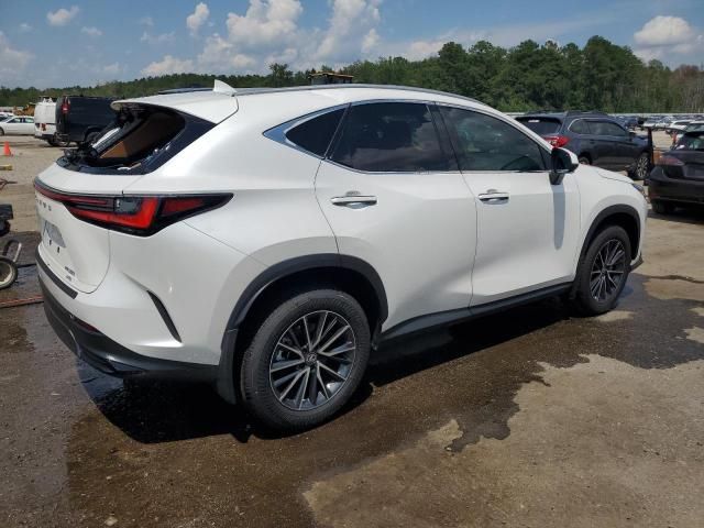 2024 Lexus NX 350 Luxury