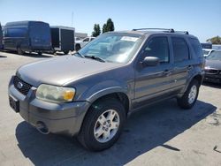 2006 Ford Escape Limited for sale in Hayward, CA