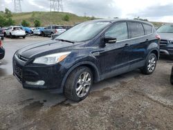 Ford salvage cars for sale: 2013 Ford Escape SEL