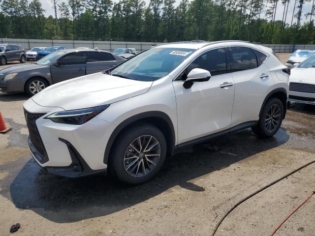 2024 Lexus NX 350 Luxury