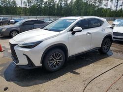 Lexus salvage cars for sale: 2024 Lexus NX 350 Luxury