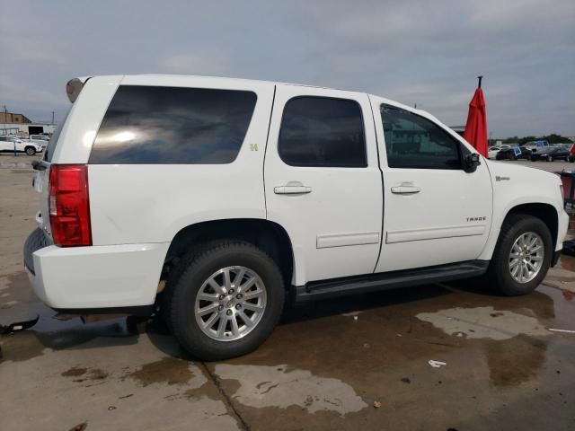 2010 Chevrolet Tahoe Hybrid