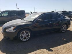 2014 Nissan Maxima S for sale in Greenwood, NE