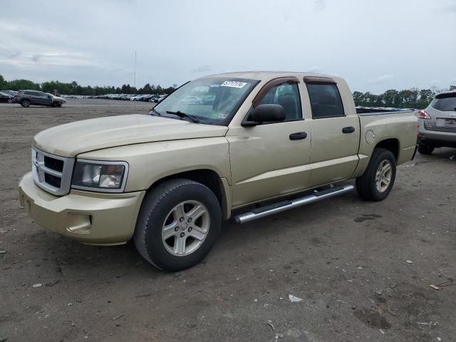 2011 Dodge Dakota SLT