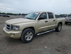 2011 Dodge Dakota SLT for sale in Fredericksburg, VA