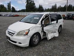 Honda salvage cars for sale: 2007 Honda Odyssey EXL