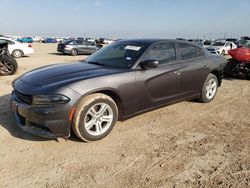 Dodge Charger salvage cars for sale: 2021 Dodge Charger SXT