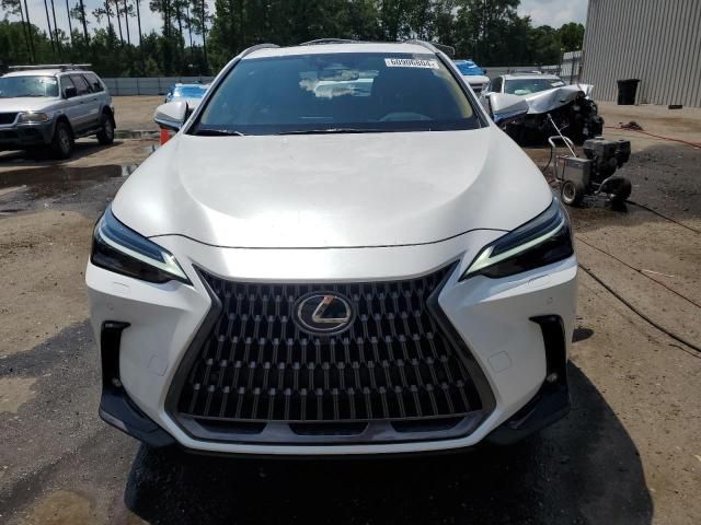 2024 Lexus NX 350 Luxury