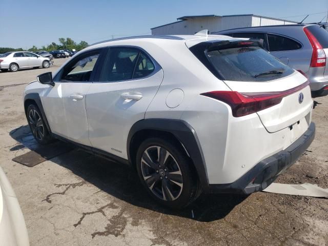 2020 Lexus UX 250H