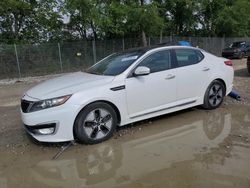 2012 KIA Optima Hybrid en venta en Cicero, IN