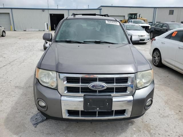 2010 Ford Escape Limited