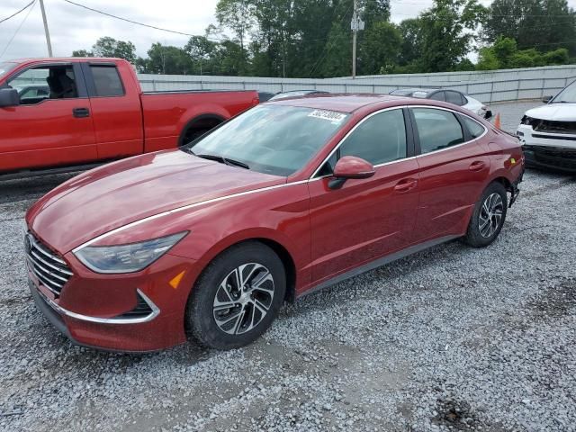 2023 Hyundai Sonata Hybrid