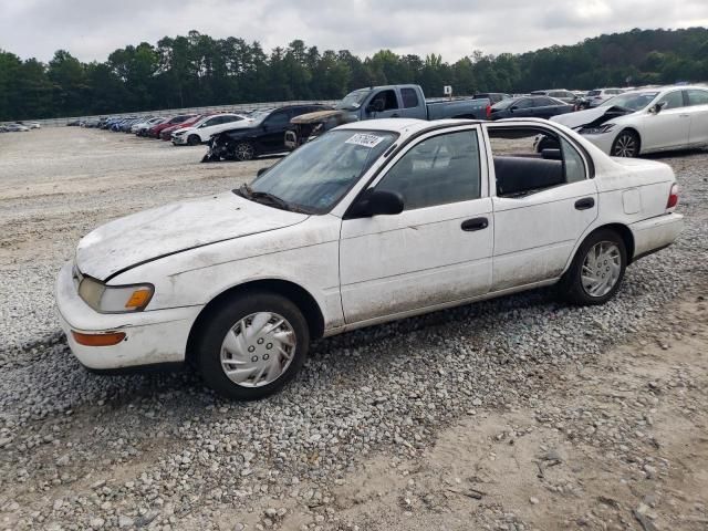 1996 Toyota Corolla