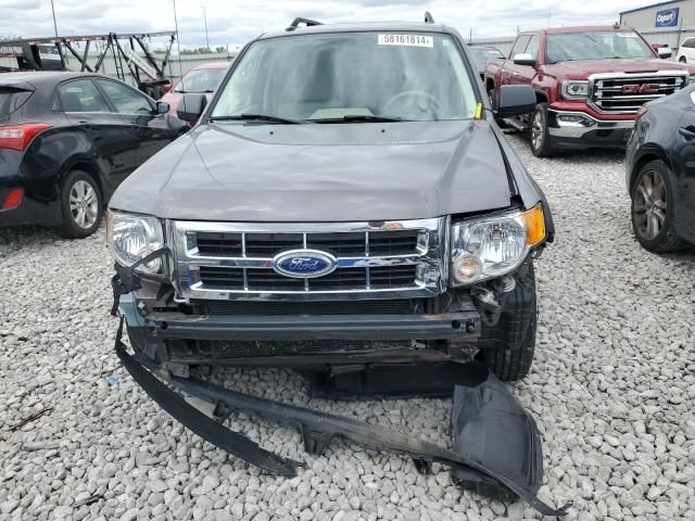 2011 Ford Escape XLT