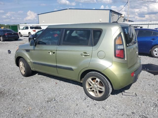 2011 KIA Soul +