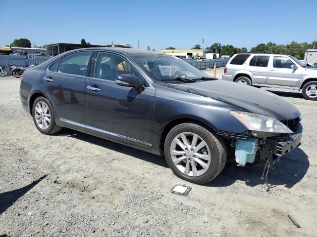 2010 Lexus ES 350