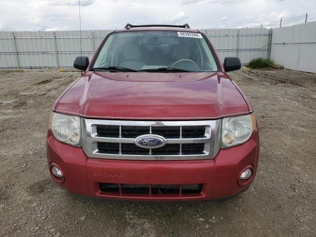 2008 Ford Escape XLT