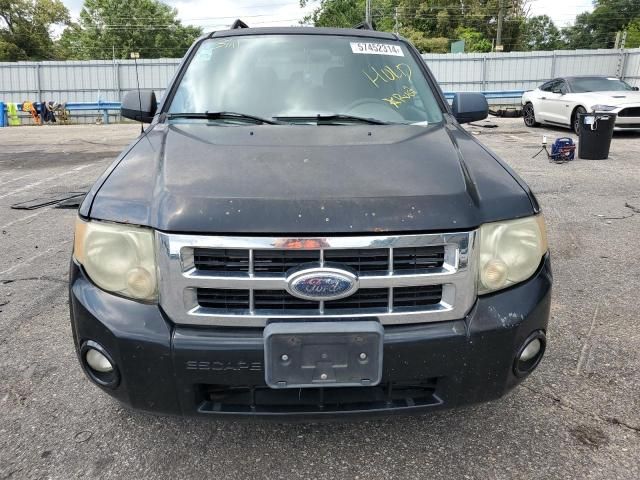 2008 Ford Escape XLT