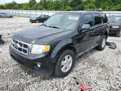 Ford Escape salvage cars for sale: 2011 Ford Escape XLT