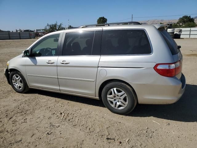 2005 Honda Odyssey EXL