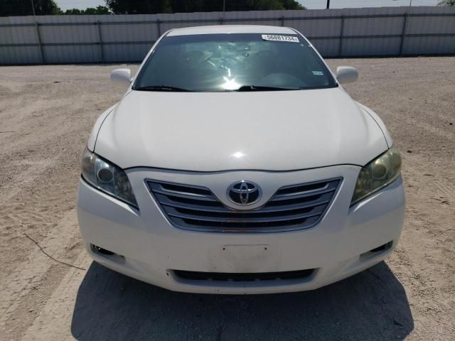 2009 Toyota Camry Hybrid